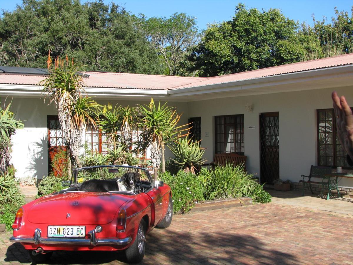 Kaiser'S B&B Grahamstown Zewnętrze zdjęcie